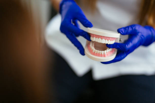 Why Choose Us for Your Dental Needs in Jasper, TN
